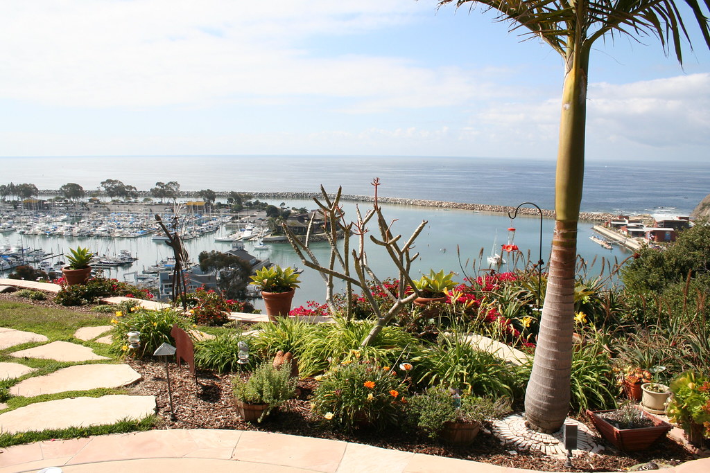 Dana Point