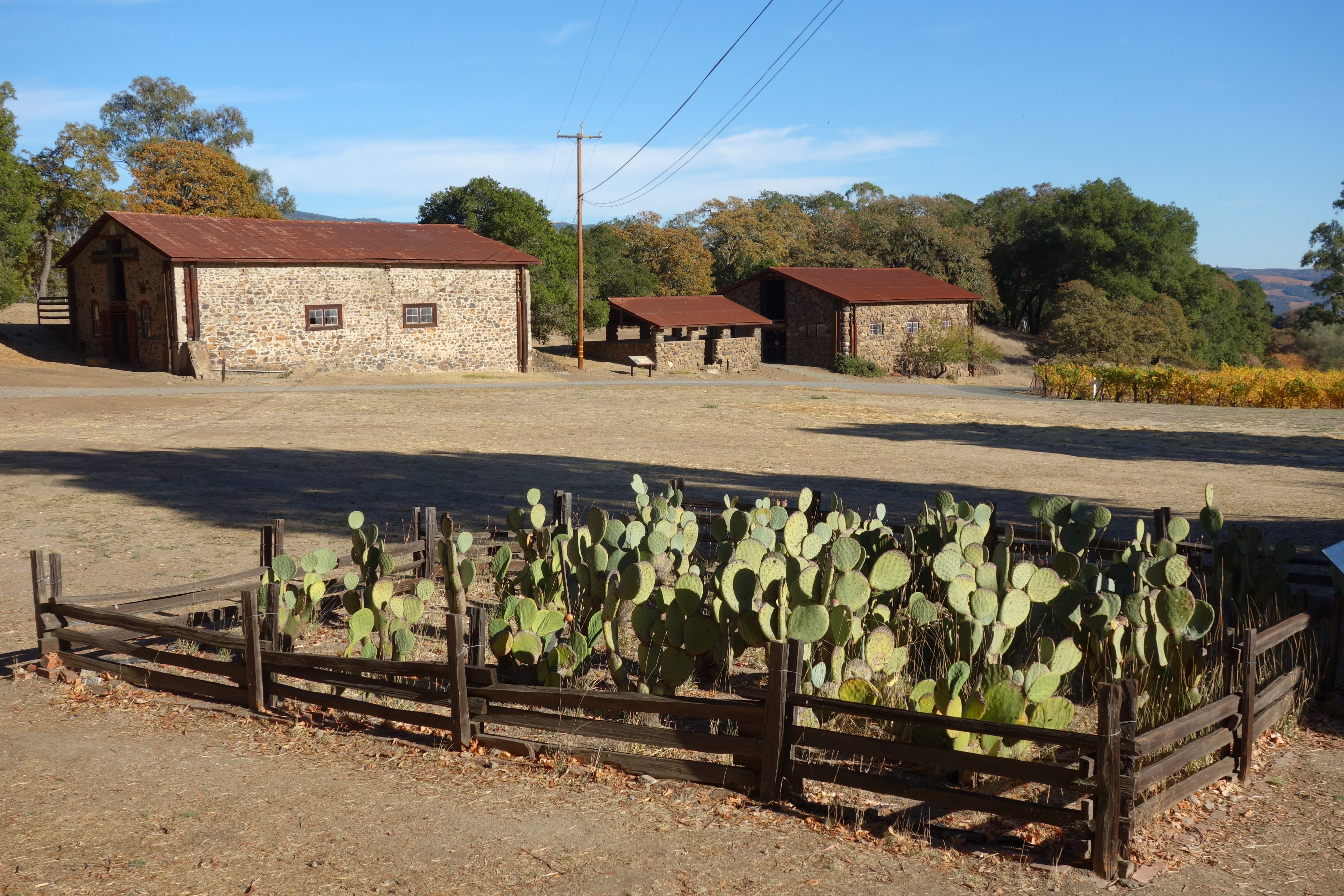 Glen Ellen