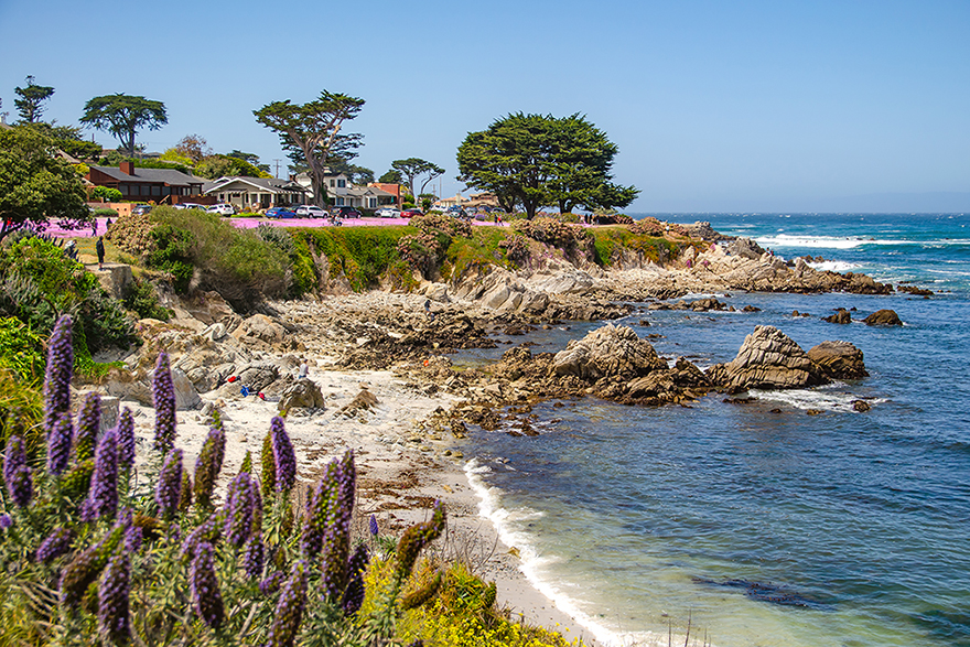 Monterey