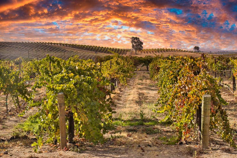 Paso Robles
