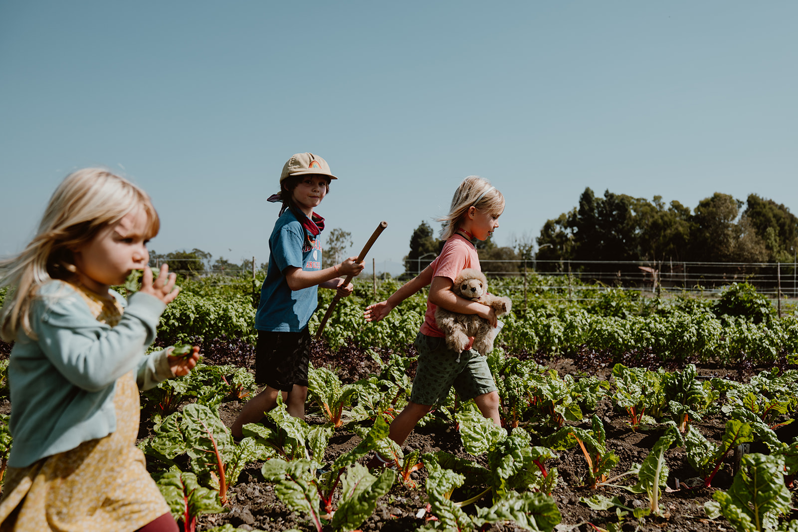 Farm & Food Systems
