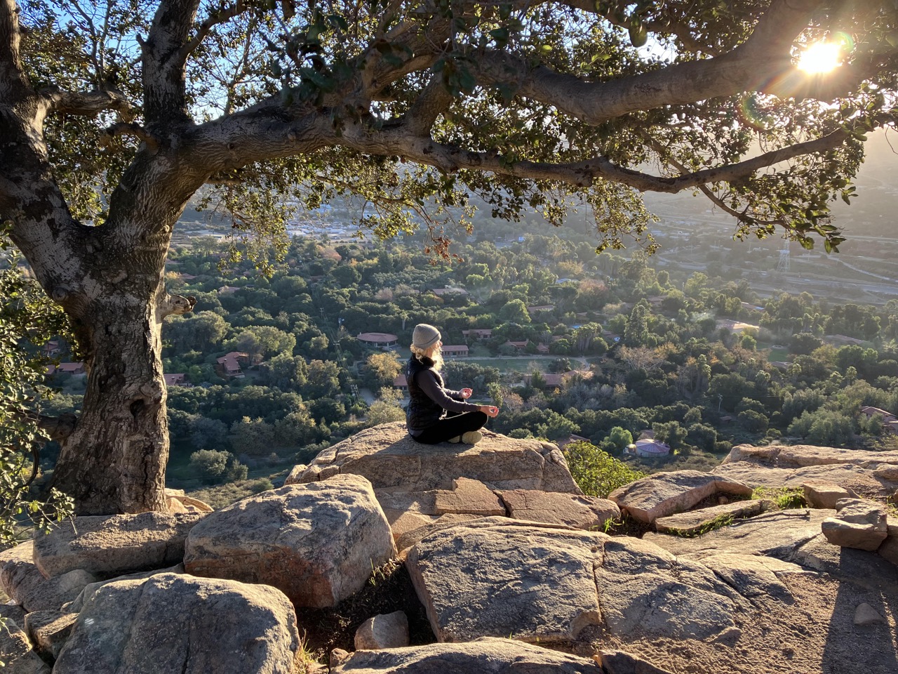 Wellness & Mindfulness